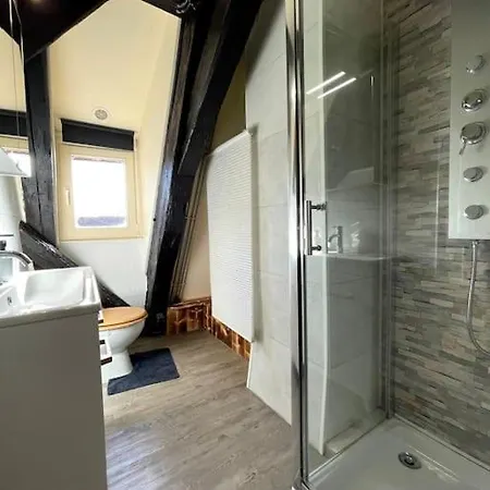 Appartement L'unique - Cosy Au Cœur De Sélestat