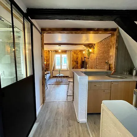 Appartement L'unique - Cosy Au Cœur De Sélestat